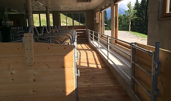 HV Bau Laufstall Kitzbühel 2015