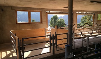 HV Bau Laufstall Kitzbühel 2015